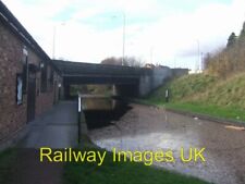 Photo canal tame for sale  FAVERSHAM