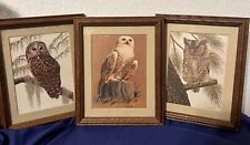 Beautiful owl framed for sale  Cape Coral