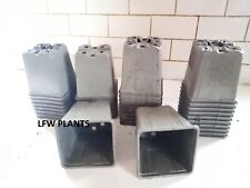 50 X 1 LTR  GREY GOOD QUALITY SQUARE PLASTIC PLANT POTS - USED for sale  UK