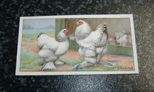Ogdens poultry 1st for sale  UK