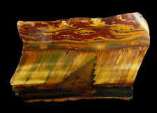 5.9" BRIGHT MAROON,GOLD & NAVY BLUE TIGER EYE MARRA MAMBA STROMATOLITE AUSTRALIA for sale  Shipping to South Africa