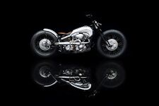 Harley custombike unikat gebraucht kaufen  Nauheim