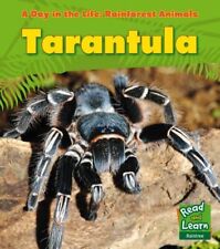 Tarantula day life for sale  UK