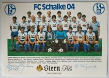 Schalke riginal mannschaftskar gebraucht kaufen  Lensahn