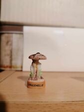 Feve connaitre champignons d'occasion  Nouzonville