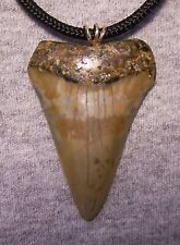 tiger shark tooth necklace for sale  Hinesville