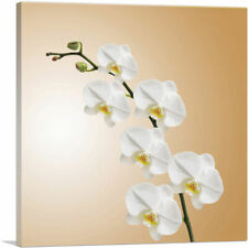 Artcanvas white blossom for sale  Niles