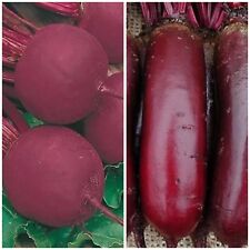 Beetroots seeds combo for sale  Shipping to Ireland