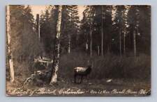 Elk native british for sale  USA