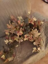 English ivy leaf for sale  Phoenix