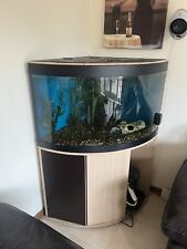 corner fish tank for sale  ST. ALBANS