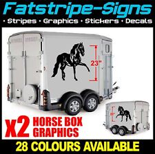 Horse box horse for sale  Shipping to Ireland