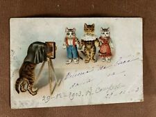 Cartolina gatti cat usato  Figline Valdarno