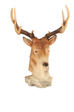 Stag deer head for sale  GLASGOW