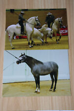Pferde postkarten horse gebraucht kaufen  Berlin