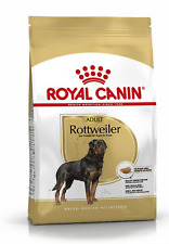 Rottweiler adulto royal usato  Como