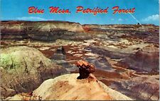 Blue Mesa Petrified Forest Petley National Park Postcard segunda mano  Embacar hacia Mexico