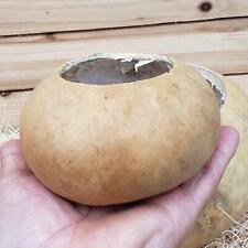 Inch organic gourd for sale  Fallbrook