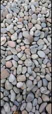 Decorative landscaping pebbles for sale  HEREFORD