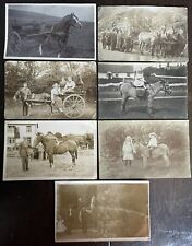 Real photographic horses for sale  NARBERTH