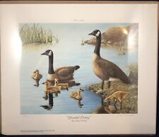 ducks goose for sale  Britton