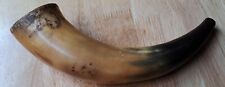 Vintage shofar horn. for sale  WREXHAM