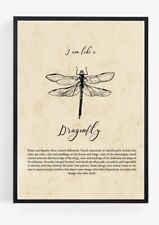 Vintage dragonfly print for sale  WOLVERHAMPTON