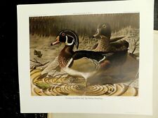 Ducks unlimited print for sale  Vancouver