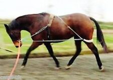 Horse lunging training for sale  Shipping to Ireland