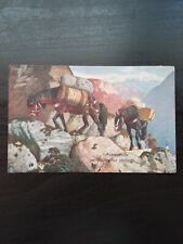 Cartolina militare sudtirol usato  Brugherio