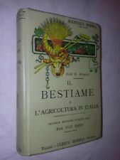 Bestiame agricoltura italiana usato  Torino