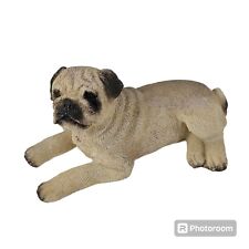 Pug fawn dog for sale  Rogers