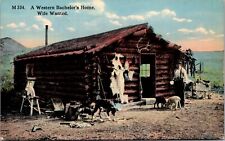 Postcard western bachelor for sale  La Mesa
