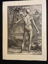 Antique anatomical poster for sale  Los Angeles