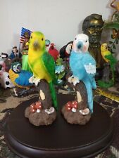 Pair budgies birds for sale  Greenville