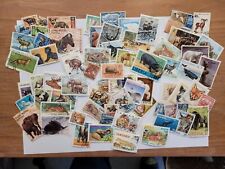200 animal stamps. for sale  CHESTERFIELD