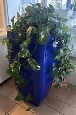 Blue ceramic planter for sale  Saint Petersburg