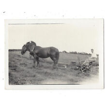 Farming man horse for sale  GLASGOW