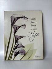 Calla lilies hope for sale  Yuba City
