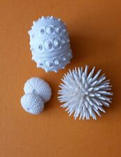 Biorb sea urchins for sale  BRIGHTON