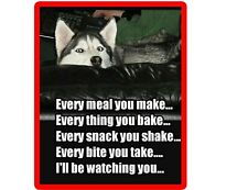 Ímã engraçado para geladeira/caixa de ferramentas Husky Siberiano Watching You comprar usado  Enviando para Brazil