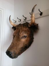 Taxidermy vintage cow for sale  KINGSWINFORD