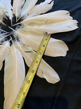 Exotic parrot feathers for sale  Bremen