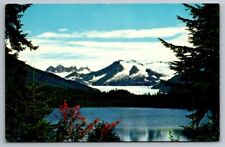 Juneau alaska postcard for sale  Manchester