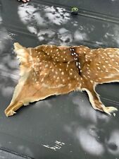 Axis chital deer for sale  Alice