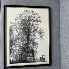 Framed print signed for sale  Conway