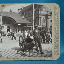 Stereoview photo berne for sale  HARPENDEN