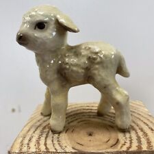 Beautiful little lamb for sale  CLACTON-ON-SEA