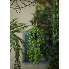 Emerald plante artificielle d'occasion  France