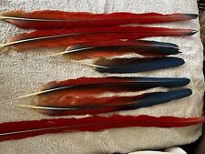 Scarlet macaw tail for sale  Jackson